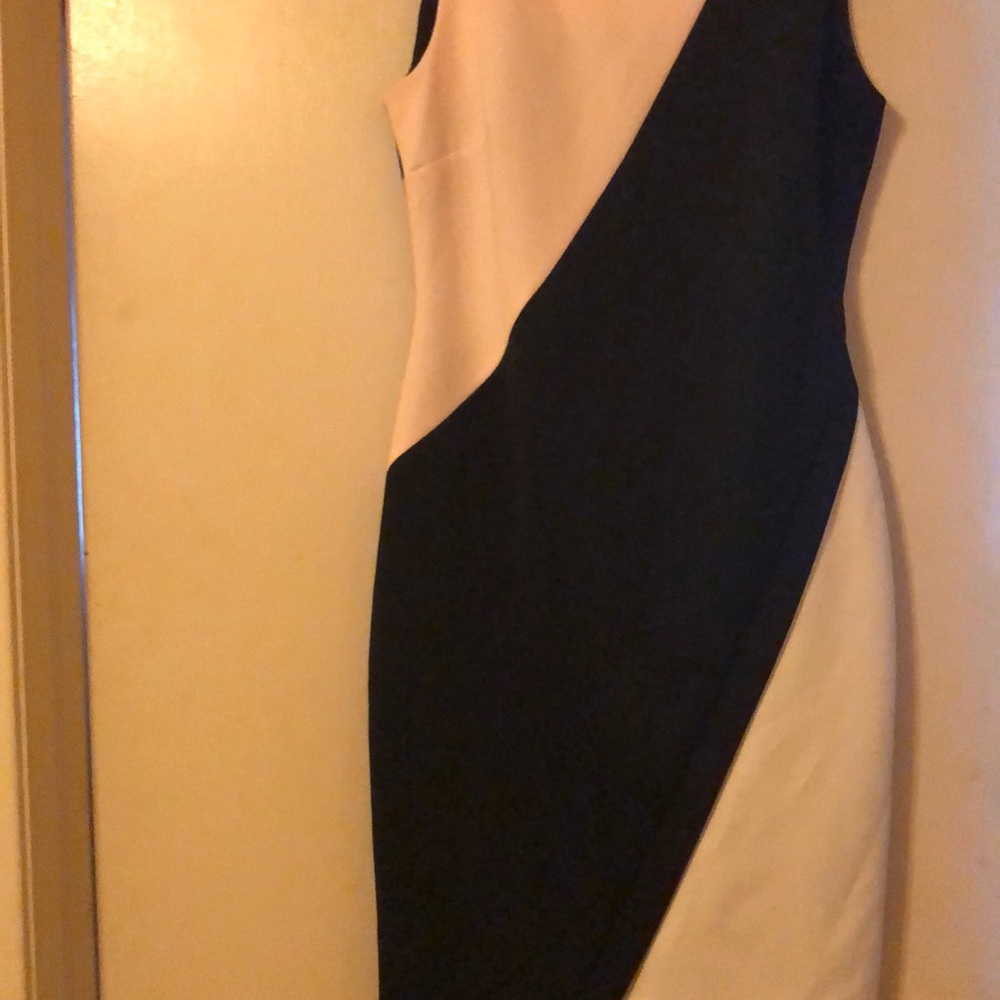 Block Color Dress - Picture 3 of 4